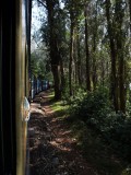 Inde - Nilgiri Mountain Railway
